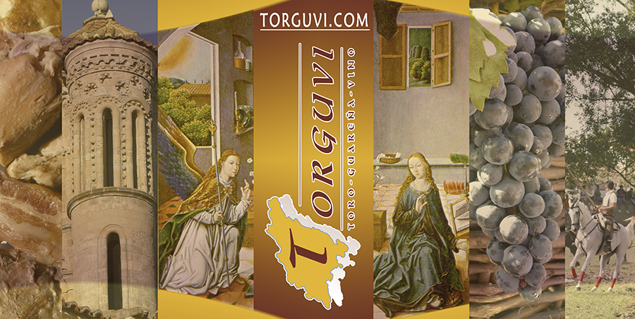 Toro Guareña Tierra del Vino Torguvi Zamora euroideas3