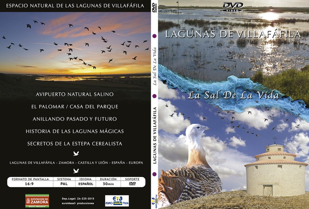 Lagunas de Villafáfila Zamora Avutardas Salinas euroideas3